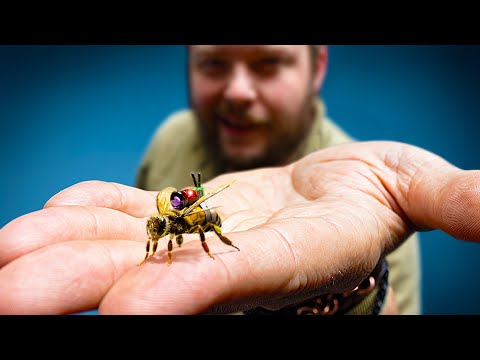 How we put a Camera on a Bee