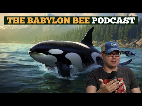 Podcast: Planet Of The Orcas