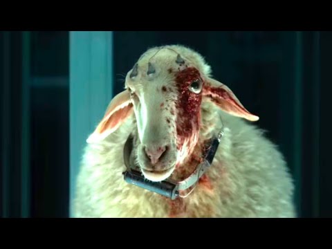 Alien Earth – This Show Is The Real Monster