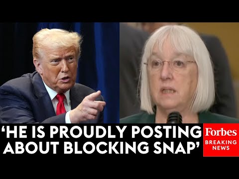 Leavitt Asked Why Trump Won’t Be Going To Supreme Court Tomorrow For Crucial Hearings On His Tariffs