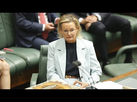 Lefties Losing It: CNN fails to correct Zohran Mamdani’s lies