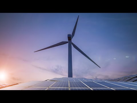 Net zero is a path to ‘economic destruction’