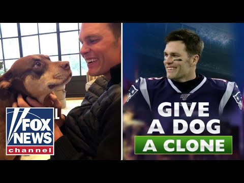 Democrats have ‘upper hand’ as more Americans lose ‘tolerance’ with US government shutdown