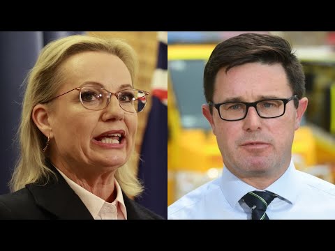 Liberal Party’s climate action decision will ‘make or break’ the Coalition