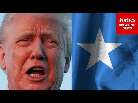 Celebrating women pursuing ‘positive change’ with Harvey Norman’s Shine Awards