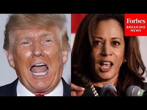 Businesses outraged over four-week road closure ahead of Christmas rush