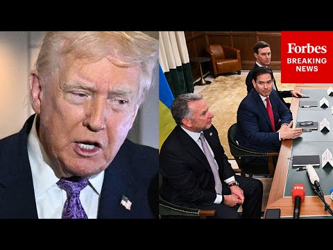 Coalition eyes Australian values tests for visas