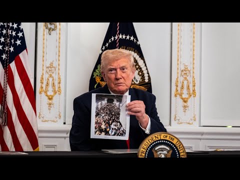 ‘We’re going to get them out’: Donald Trump steps up immigration crackdown