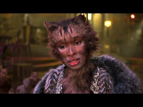 Production Hell – Cats