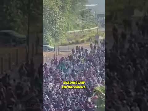 Illegal Immigration Is An EXISTENTIAL Threat | Liz Wheeler