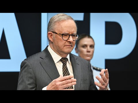 ‘Two years of terrible headlines’: Albanese hides behind ‘experts’ on Royal Commission