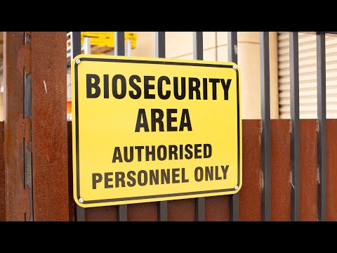 Zohran Mamdani Accidentally Reveals How Clueless He Is About Economics