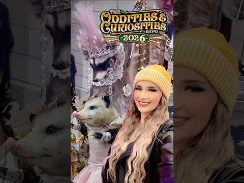 My FIRST Con of 2026! Oddities and Curiosities EXPO!!