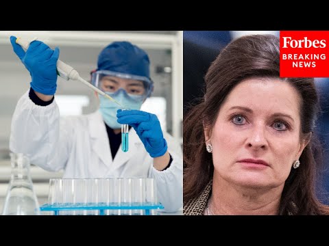 Sheri Biggs: Politics And ‘Bureaucratic Red Tape Have Stifled American Scientific Advancement’