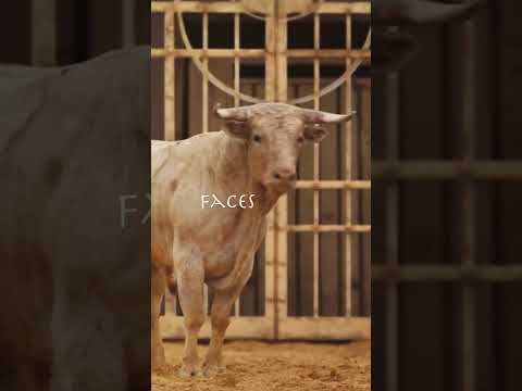 It’s Merlin’s way or the highway