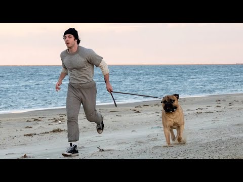 “I Play Rocky” Set for Christmas & More 📱