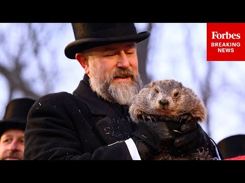 Groundhog Day: Punxsutawney Phil Sees His Shadow Which Means 6 More Weeks Of Winter
