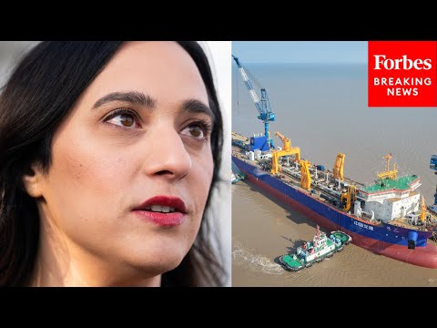 Yassamin Ansari Sounds The Alarm On Ecological Damage Caused By Deep Sea Mineral Mining