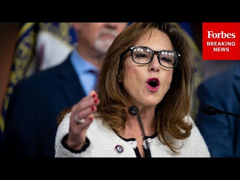 ‘Every Single Democrat Voted Against Saving You Money’: Lisa McClain Discusses GOP Legislation