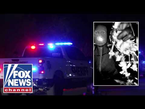 King Charles to continue funding for Andrew’s disgraced life to ‘keep him away’ from public