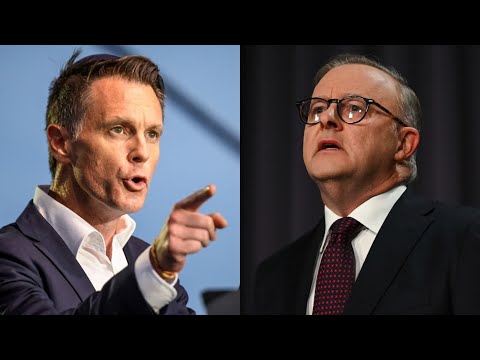 Albanese ‘playing catch up’ to Minns government protest crackdown