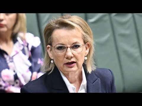 Sussan Ley could be challenged as opposition leader ‘this week’