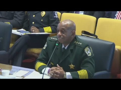 ‘Go back to school’: ‘Cringe’ Democratic Sheriff fails to answer basic government question