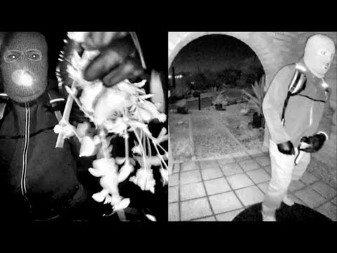 ‘Living nightmare’: Savannah Guthrie’s family reeling after mother’s kidnapping