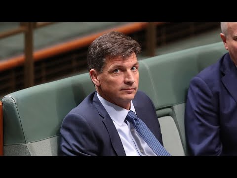 ‘Miserable ghost’: Turnbull’s latest ‘bitter’ attack on the Liberal Party