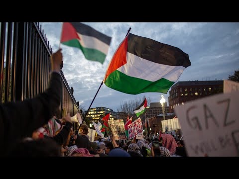 Don Lemon labelled the ‘most dangerous person’ after recent remarks