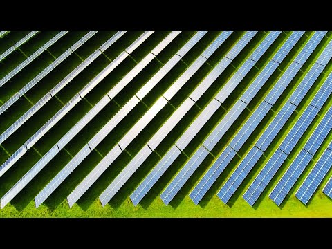 UFC legend Jorge Masvidal urges Trump to crush Cuba’s dictatorship once and for all