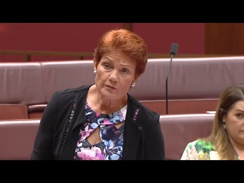Censure motion being moved against One Nation Leader Pauline Hanson over Muslim comments