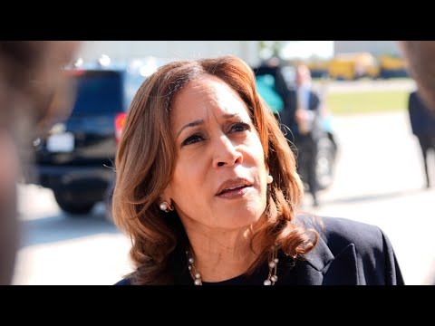 The left has ‘conveniently forgotten’ the atrocities Iranian regime has committed