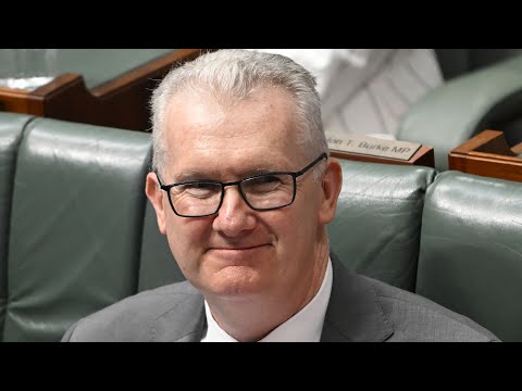 Tony Burke confirms humanitarian visas granted to Iranian women footballers