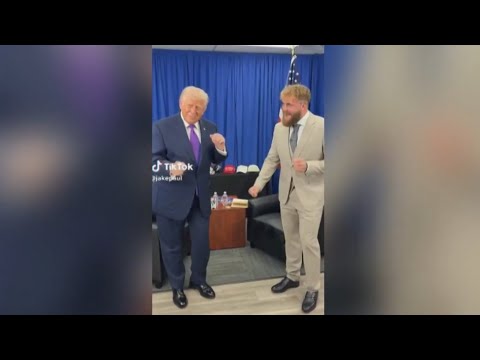 ‘Campaign advantage’: Trump is ‘plugged into’ internet meme culture