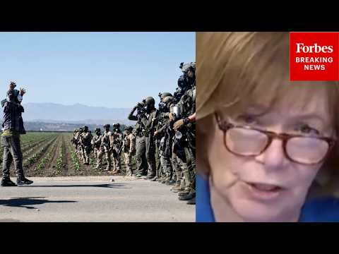 ‘A Devastating Impact On Farm Labor’: Tina Smith Torches Trump Admin’s Immigration Policies