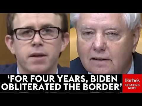 ‘You Want To Give Them Amnesty?’: Graham Presses Immigration Expert Over Illegal Immigration