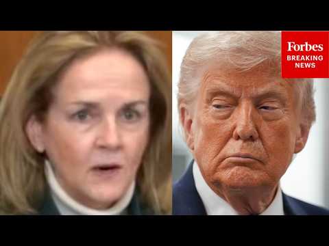 ‘USAID Did Not Fund This!’: Madeleine Dean Rebuts Trump Admin Claims About Where USAID Funding Went