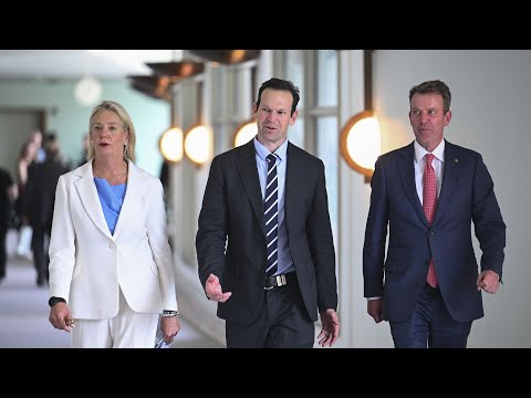 ‘Terrific’: Coalition calls for fuel excise cut as prices continue to rise at bowsers