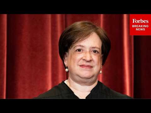 Under-16s social media ban enforcement failure blamed on Labor government