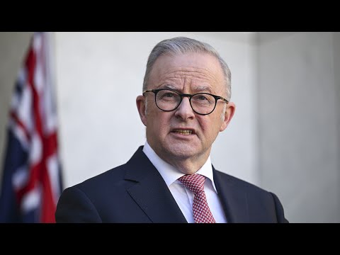 Albanese serves up ‘complete nothingburger’ in national address on fuel crisis