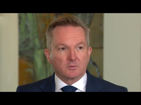 ‘The stupidity is contagious’: Bowen rambles on about renewables as fuel crisis deepens