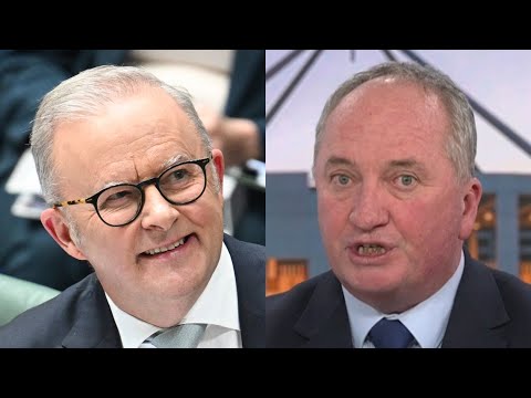 ‘He wants us not to be concerned’: Joyce blasts Albanese’s national address