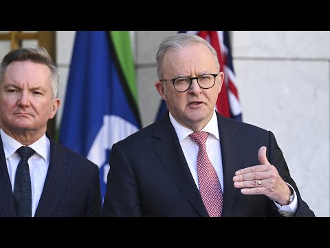 ‘Disgusting’: Labor pushes ‘stupid’ ideology amid fuel supply crisis