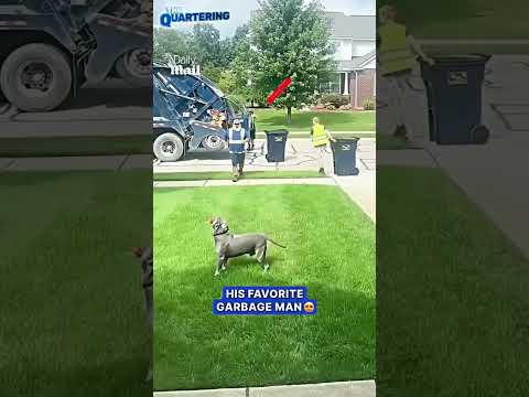 This Garbage Guy Made A Friend For Life #dogs #viral #pets #animals