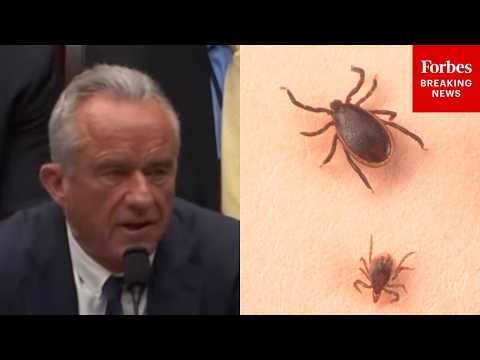 RFK Jr Sounds The Alarm On The ‘Millions Of Americans’ That Have Lyme Disease And Do Not Know It