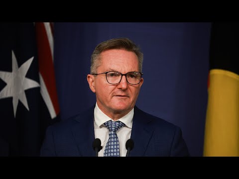 ‘Absolutely crazy’: Labor’s EV tax breaks are a classic case of ‘upper-class welfare’