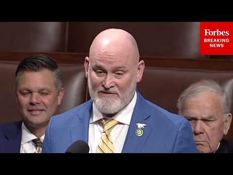 ‘Giant scissor to red tape’: Albanese government’s ‘landmark’ environmental laws