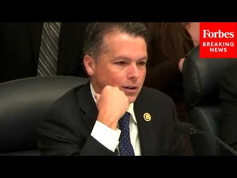 Anthony Albanese’s relationship with Donald Trump is in Australia’s ‘national interest’