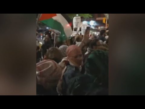 New York City pro-Palestine protests ‘purely and completely’ a result of Democrat officials